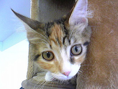 c0024265_148120.jpg