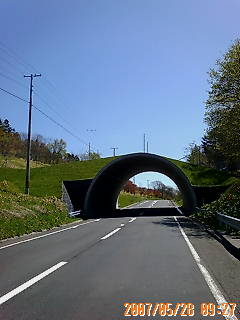 d0098665_19523122.jpg