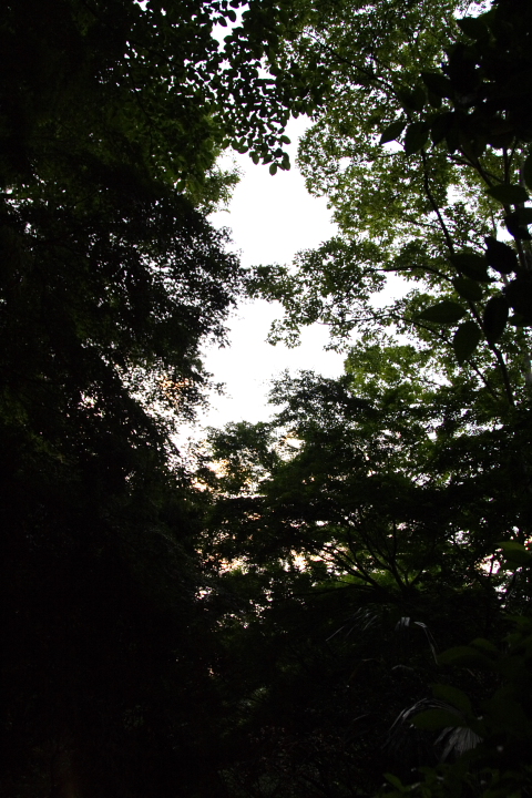 b0027267_23561615.jpg