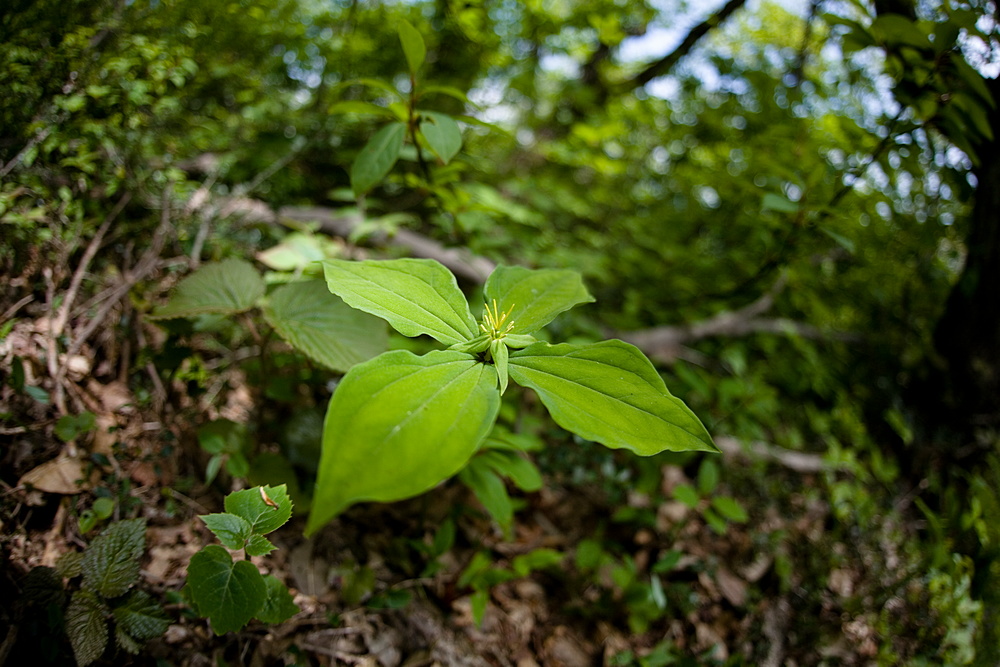 e0015567_18313657.jpg