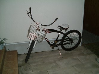 炎の自転車_f0093979_881580.jpg