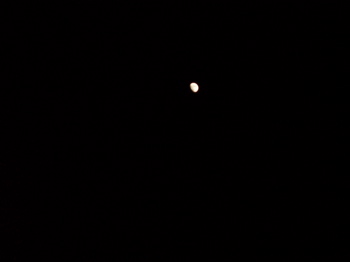 b0097482_17294899.jpg