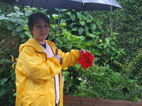 梅雨時のお客様_e0028387_2225394.jpg