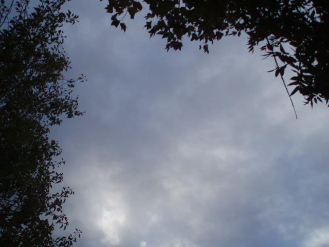 Picture + Tomorrow_b0079097_12321497.jpg