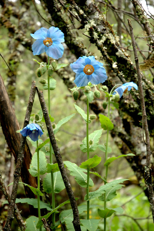 f0115214_16404782.jpg