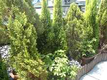b0082125_1642066.jpg