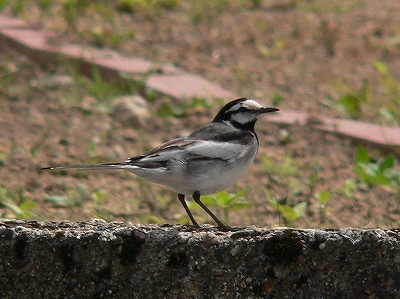 f0029038_21175549.jpg