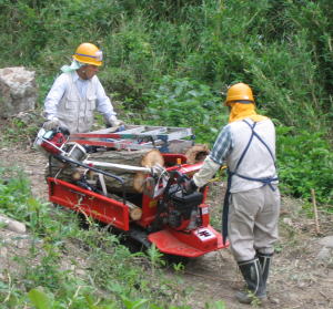 e0049740_20114812.jpg