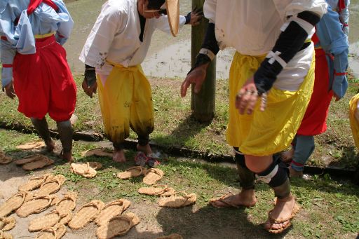 悠紀斎田（ゆきさいでん）お田植祭り-2_a0031741_17501886.jpg