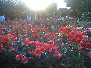 e0069647_22514633.jpg