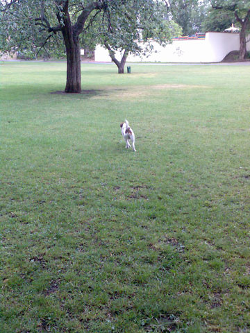 f0077150_2115411.jpg