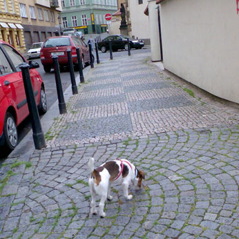 f0077150_214643.jpg
