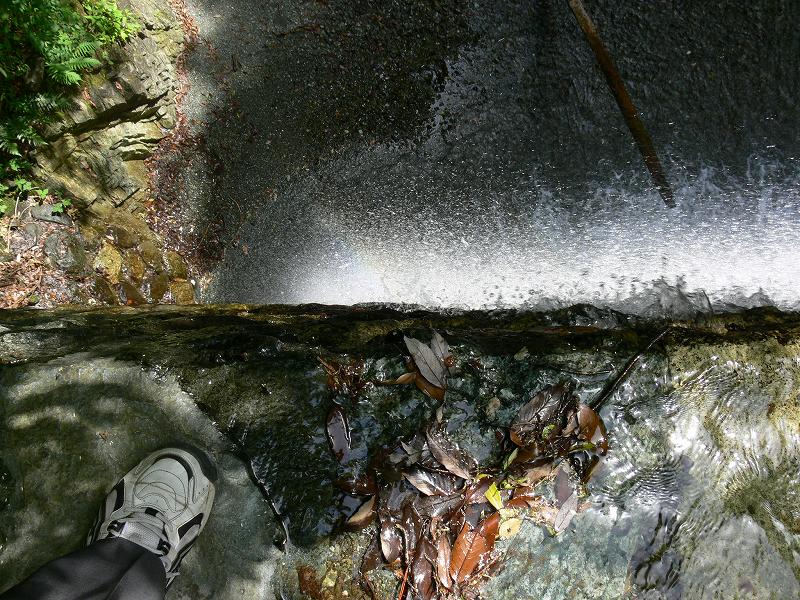 c0059854_05364.jpg