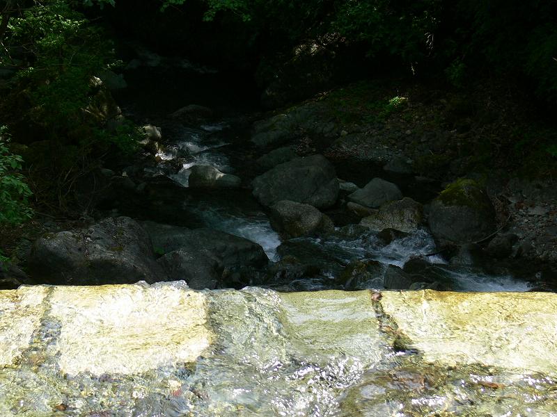 c0059854_0571.jpg