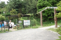 c0108460_19545292.jpg