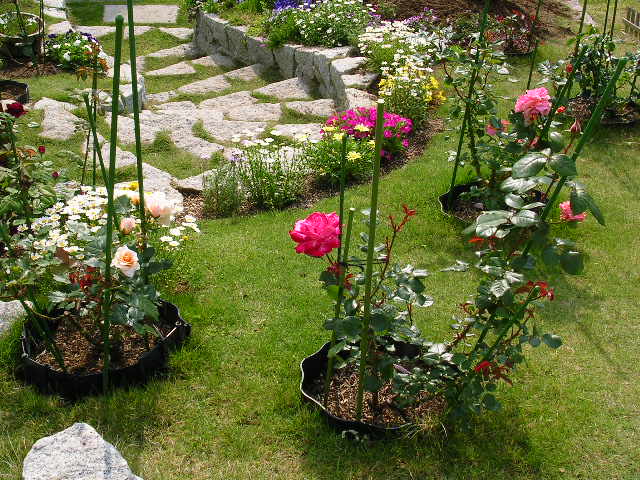 2007年5月29日(火)・・・オランダの白い町トーンからデン・ハーグまで_f0060461_14534498.jpg