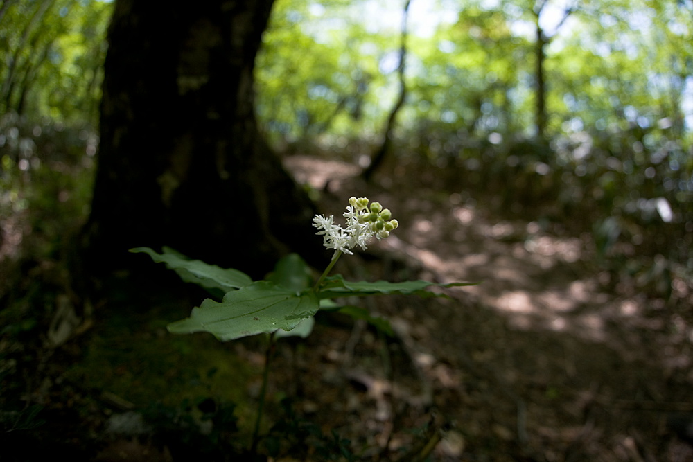 e0015567_21113957.jpg