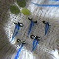 a0030168_10233510.jpg