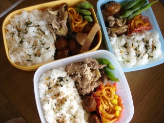 五月のお弁当_a0038370_1524565.jpg