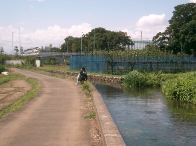 水辺の風景(2)：国立市_c0112172_1381629.jpg