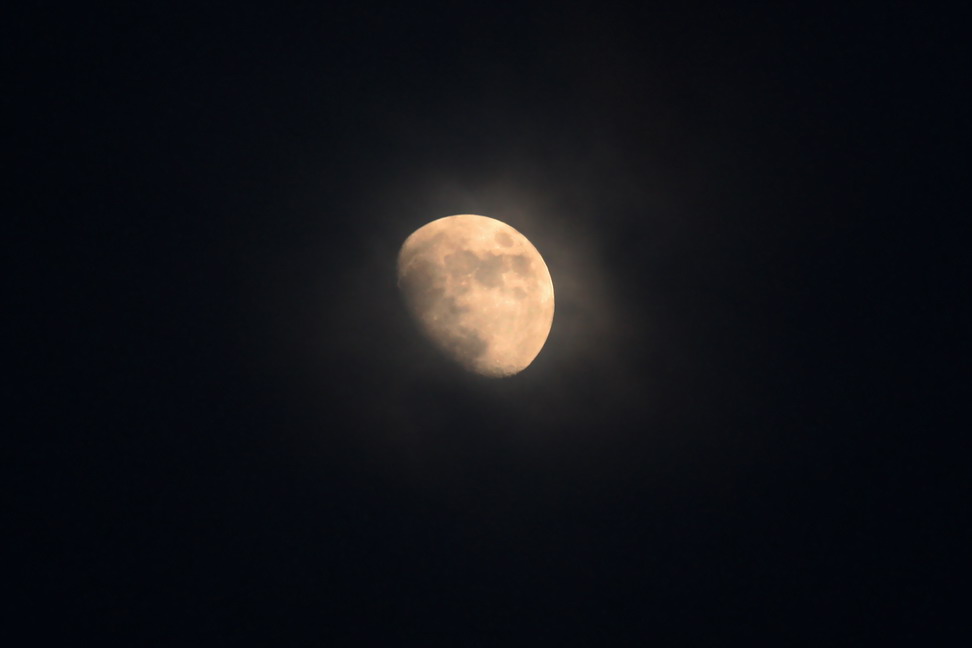 b0093678_0124766.jpg