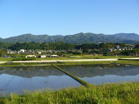 散歩道_e0121790_20522448.jpg