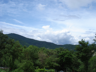 雨上がりの畑で_f0106597_19323353.jpg