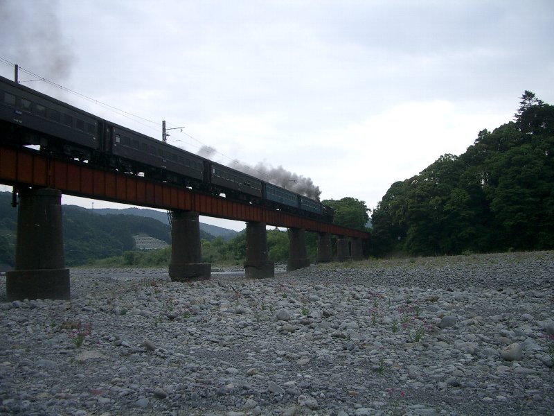 c0102404_20284012.jpg