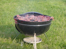 f0102814_14332.jpg