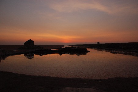 f0062821_56159.jpg