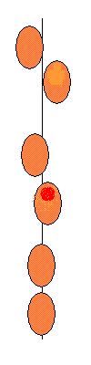 c0066624_1748832.gif