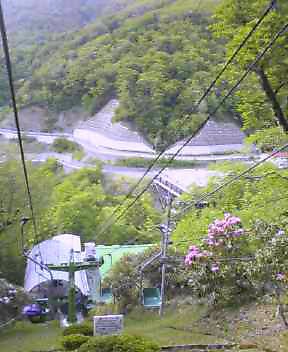 c0089831_1640169.jpg