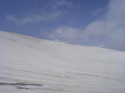 f0118332_03356.jpg