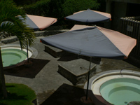 b0090333_13151.jpg