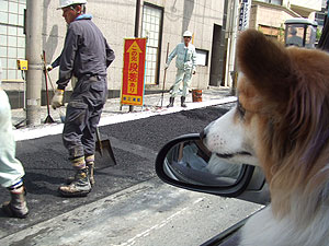 お出かけデー_f0035333_21494696.jpg