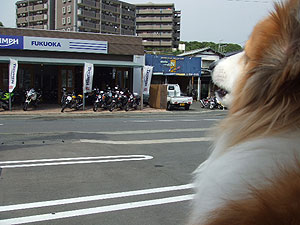 お出かけデー_f0035333_2151751.jpg