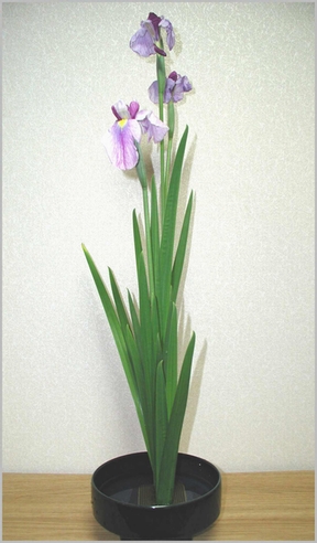 しょうぶ 生花 一種生け お花大好き 芳庵の欲張りお花教室 Hoan S Works