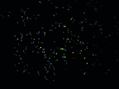 e0005548_2344970.gif