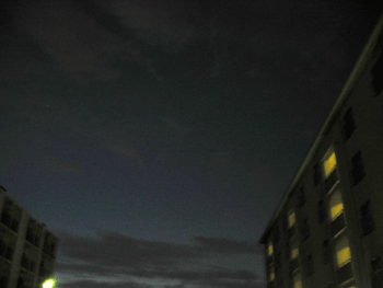 f0041351_018285.gif