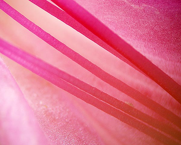 e0035757_21163050.jpg