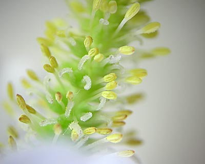 e0035757_21303180.jpg