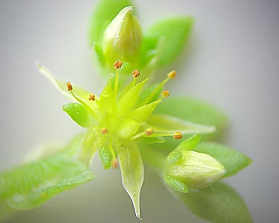 e0035757_21313039.jpg