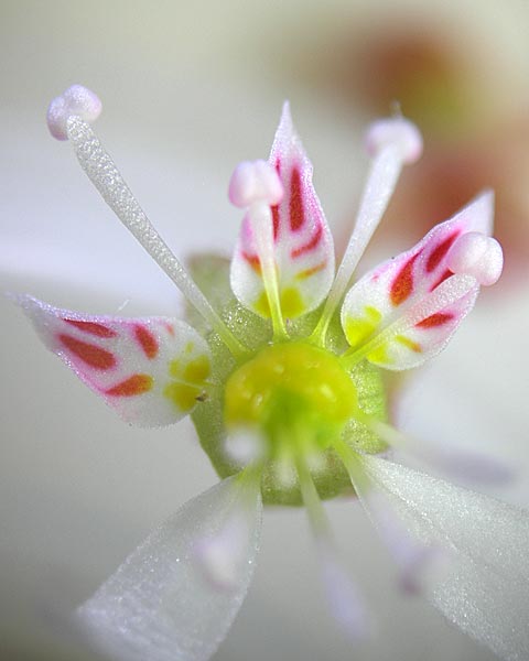 e0035757_21315183.jpg
