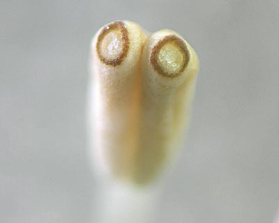 e0035757_2183664.jpg