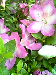 f0073958_23141253.jpg