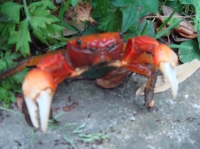 c0108460_21254919.jpg