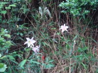 c0108460_2145599.jpg