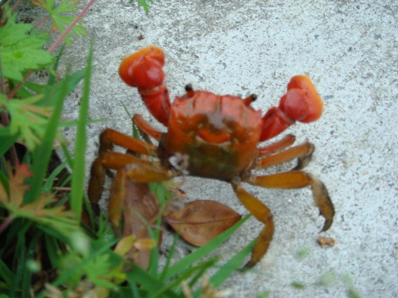 c0108460_2153427.jpg