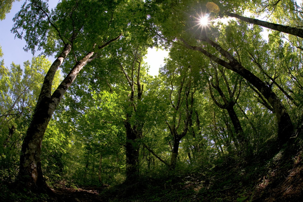 e0015567_20434533.jpg