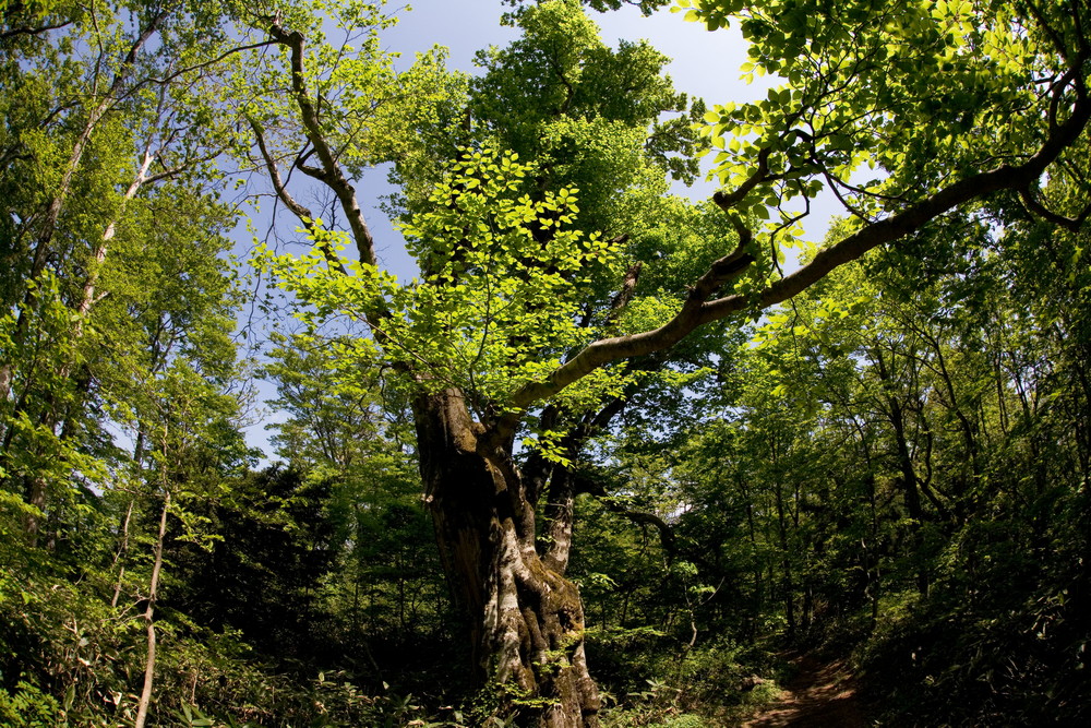 e0015567_20451246.jpg